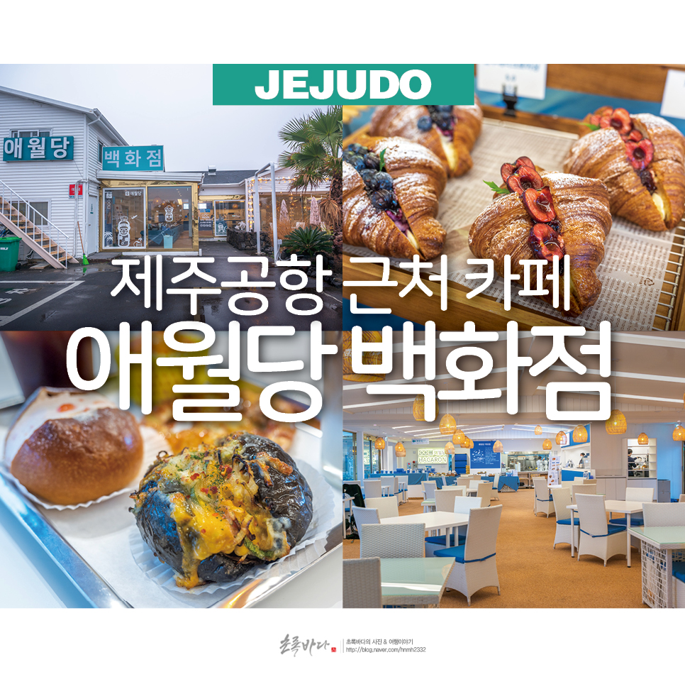 제주공항 근처 카페 제주 빵지순례 애월당백화점 제주 카페