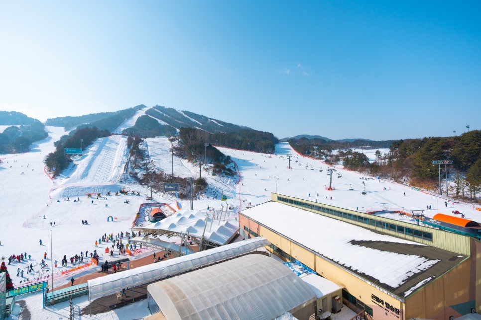 강원 여행, 아이와 함께 즐기는 횡성 여행 코스 :: 웰리힐리파크, 횡성 한우 체험관, 미술관 자작나무숲, 안흥찐빵 모락모락 마을, 강원 1박2일 여행, 횡성 가볼만한곳