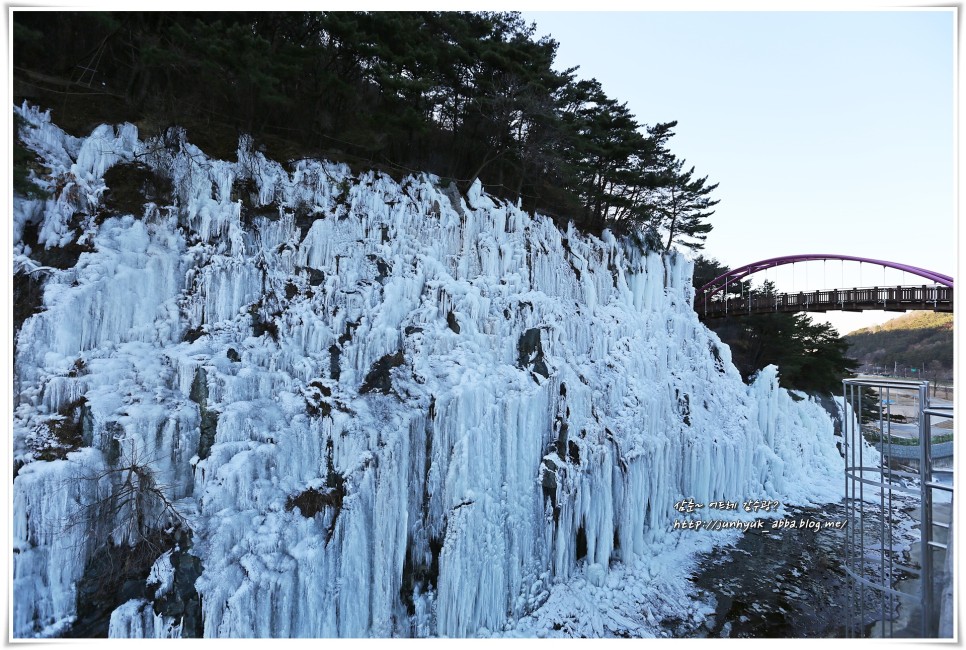 대구 겨울 가볼만한곳 옥연지 송해공원 얼음빙벽
