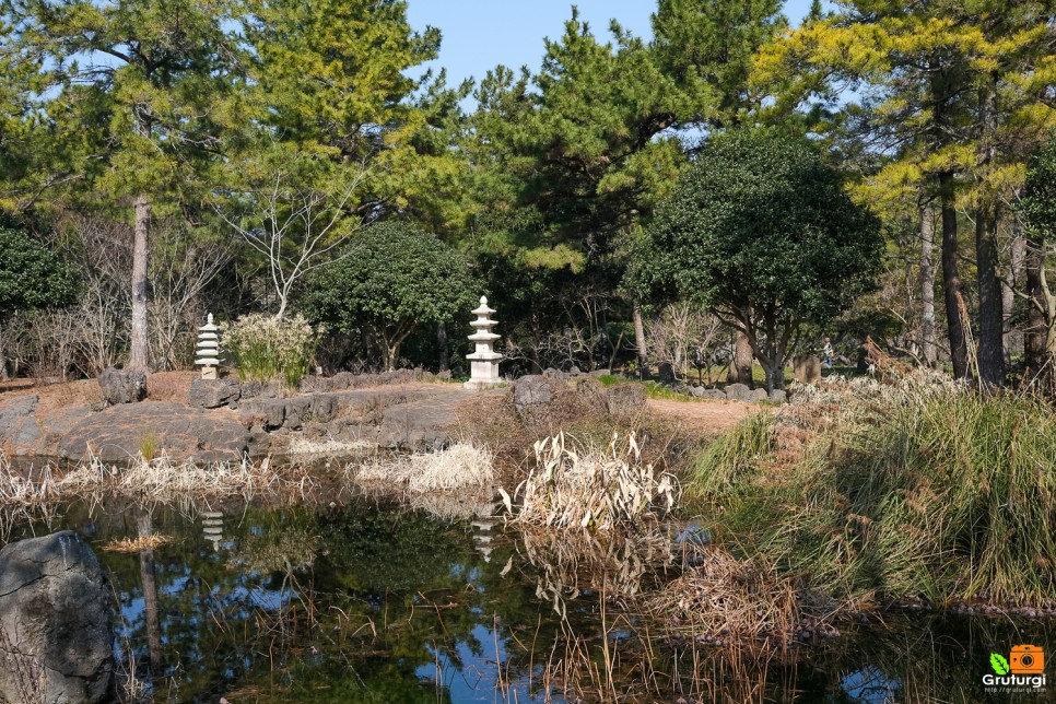 2월 제주 가볼만한곳 제주 한림공원 매화축제 수선화 축제 제주도 매화 명소 봄여행