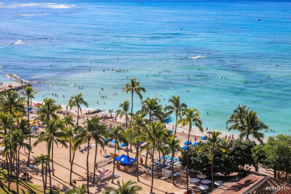 하와이 미국 포켓와이파이 도시락 대여 10%할인