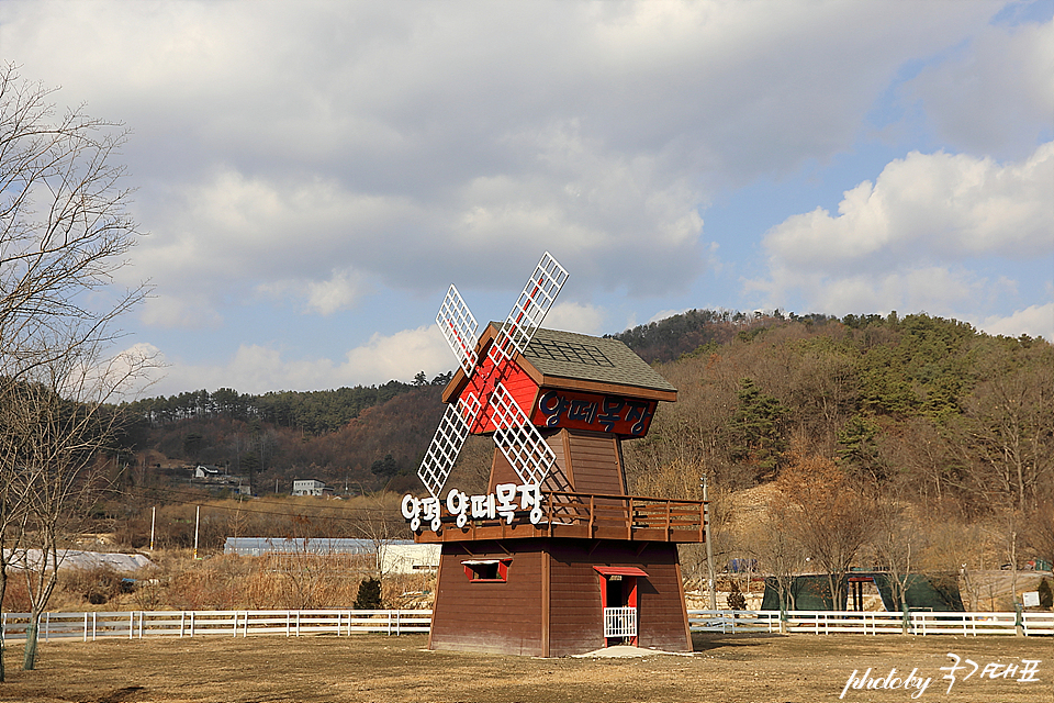 서울근교 갈만한곳 양평 양떼목장 수도권 드라이브