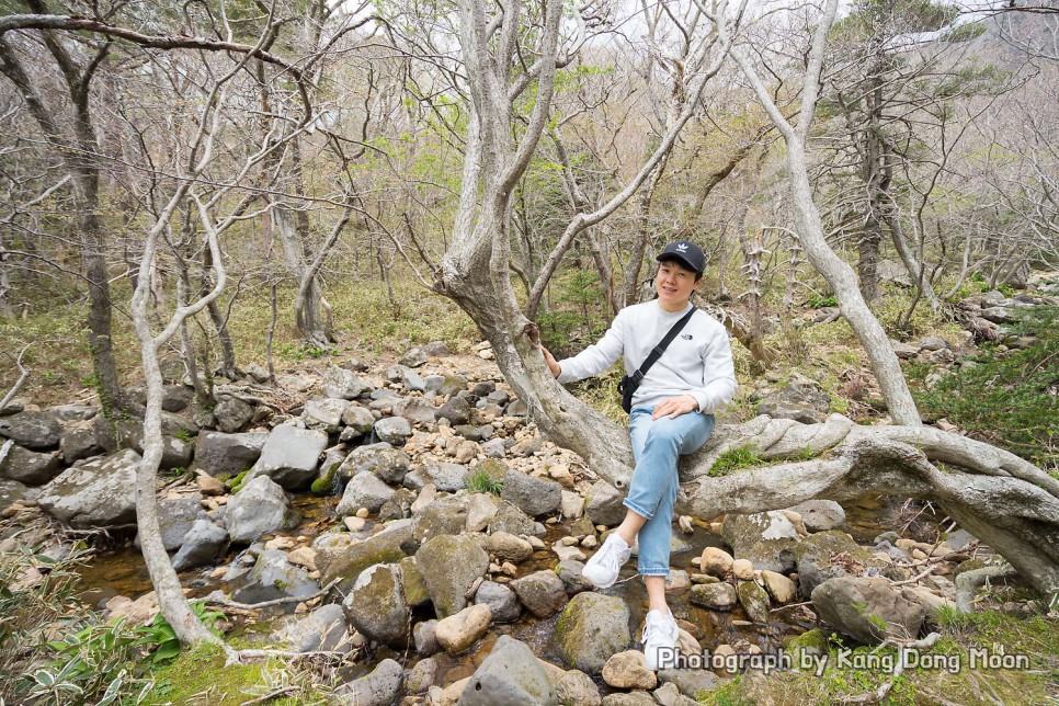 국내 여행지 추천 3월 제주도 가볼만한곳 제주 한라산 군산 오름 국내 섬 여행 꽃구경