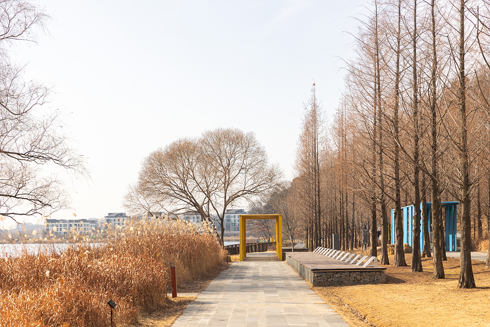 수원근교 나들이 동탄 호수공원 드라이브 산책 주차장