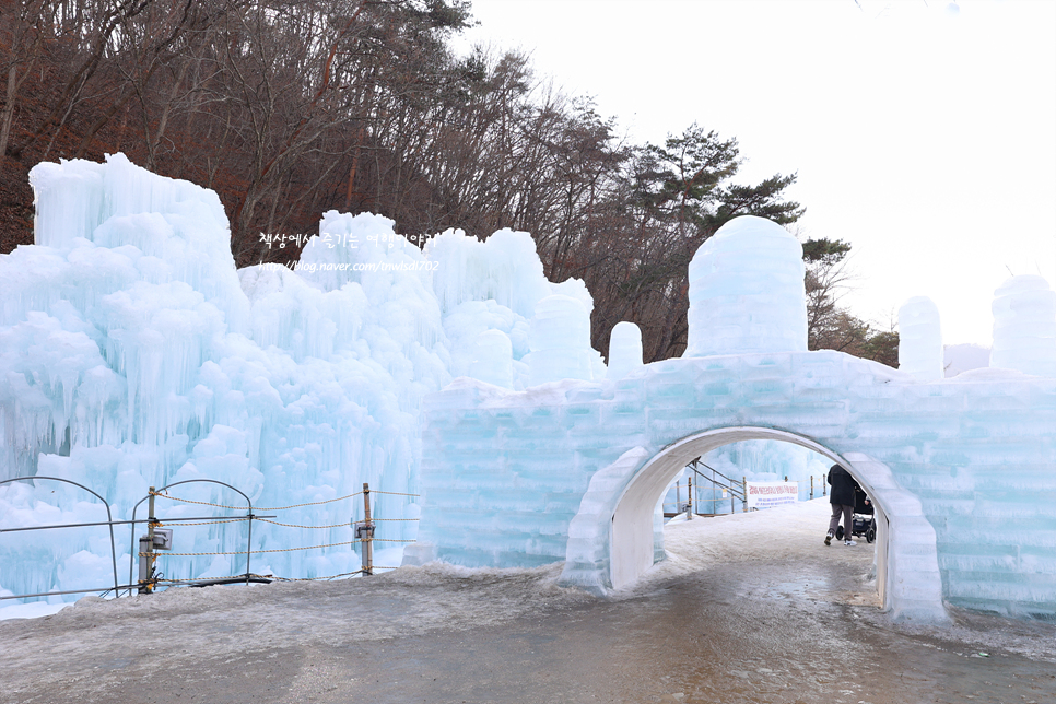 충청도 아이와 가볼만한곳 청양 알프스마을 칠갑산 얼음분수축제 눈썰매장