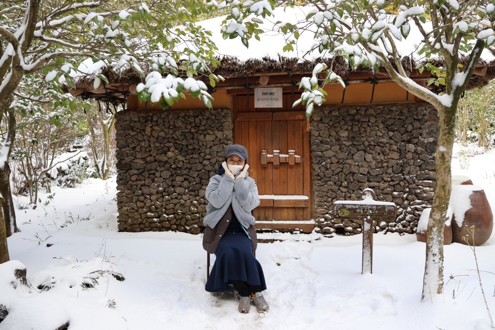 제주도 여행지 추천 제주 동백꽃 명소 카멜리아힐 할인팁