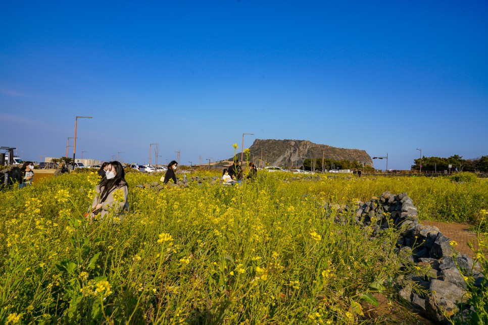 2월 제주도 여행 제주 동쪽 가볼만한곳 봄여행 코스