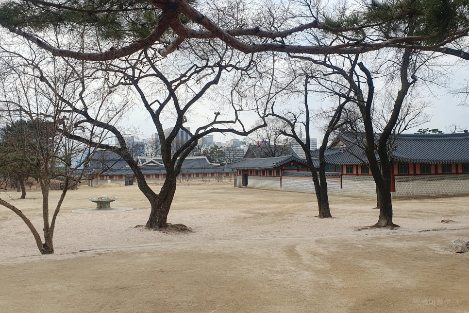 혼자 서울 여행 경복궁 나들이 떠나기 좋은 서울 궁궐