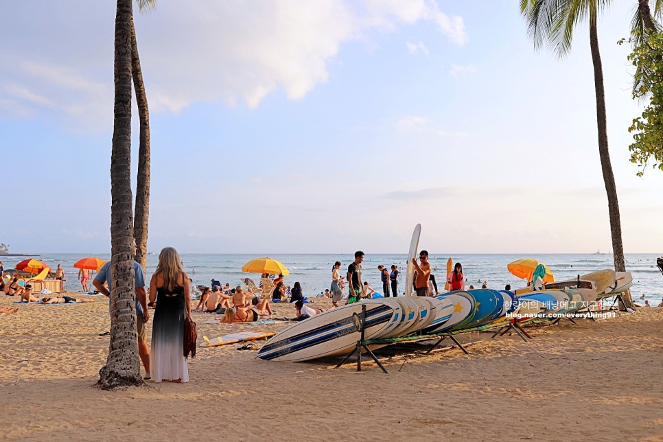 하와이 신혼여행 자유여행 다 좋은 액티비티-서핑, 크루즈, 쿠알로아 랜치