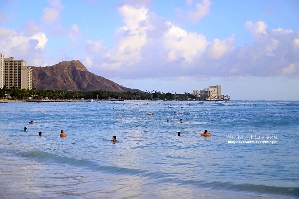 하와이 신혼여행 자유여행 다 좋은 액티비티-서핑, 크루즈, 쿠알로아 랜치