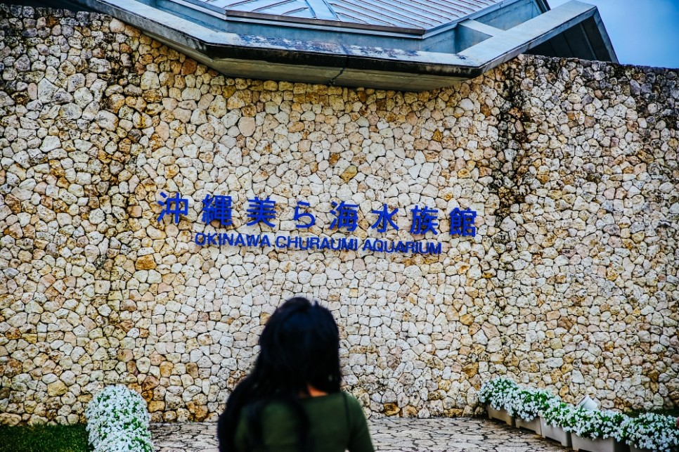 일본 관광지 오키나와 자유여행 가볼만한곳 츄라우미 수족관 입장권 정보