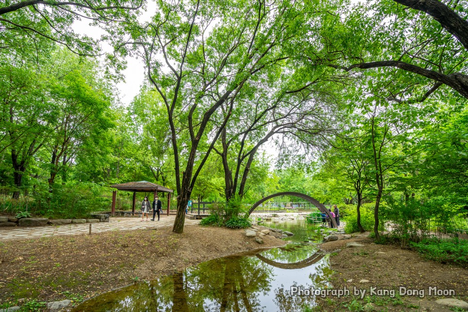 서울 가볼만한곳 서울 데이트 코스 이색 데이트 장소 주말 나들이 공원 추천 서울숲