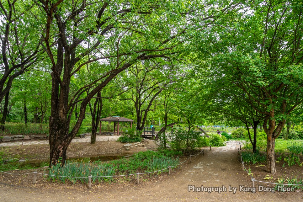 서울 가볼만한곳 서울 데이트 코스 이색 데이트 장소 주말 나들이 공원 추천 서울숲