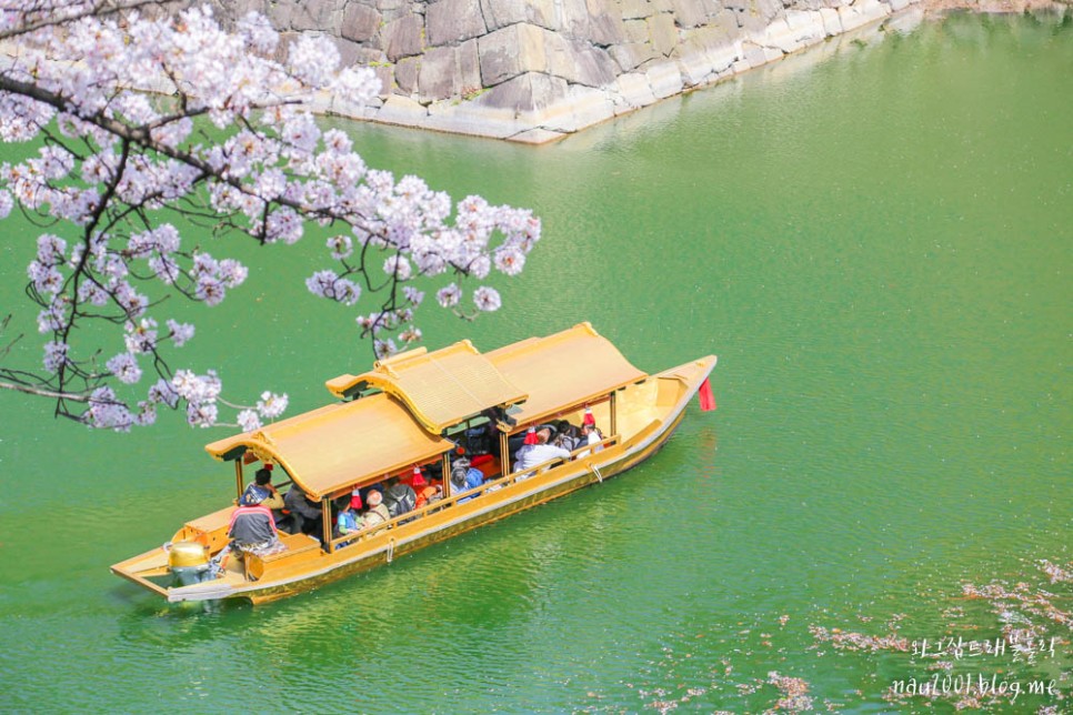 일본 벚꽃여행 개화 만개 시기 오사카 교토 후쿠오카 도쿄 벚꽃명소