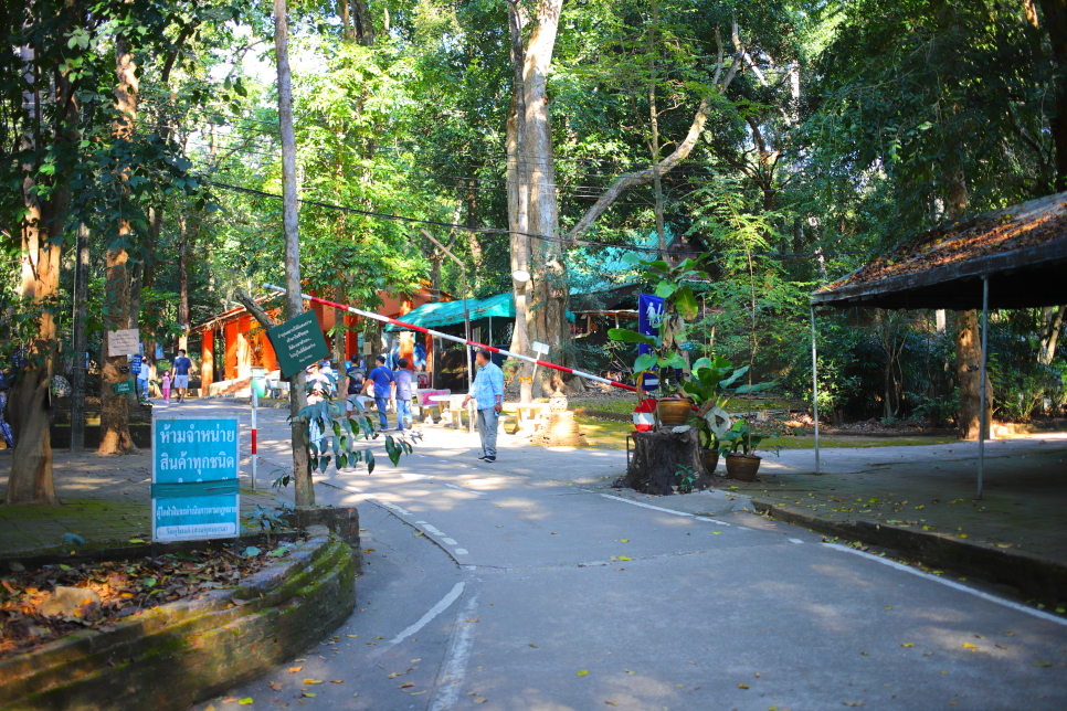 태국 치앙마이 여행 신비로운 왓우몽 동굴사원 투어