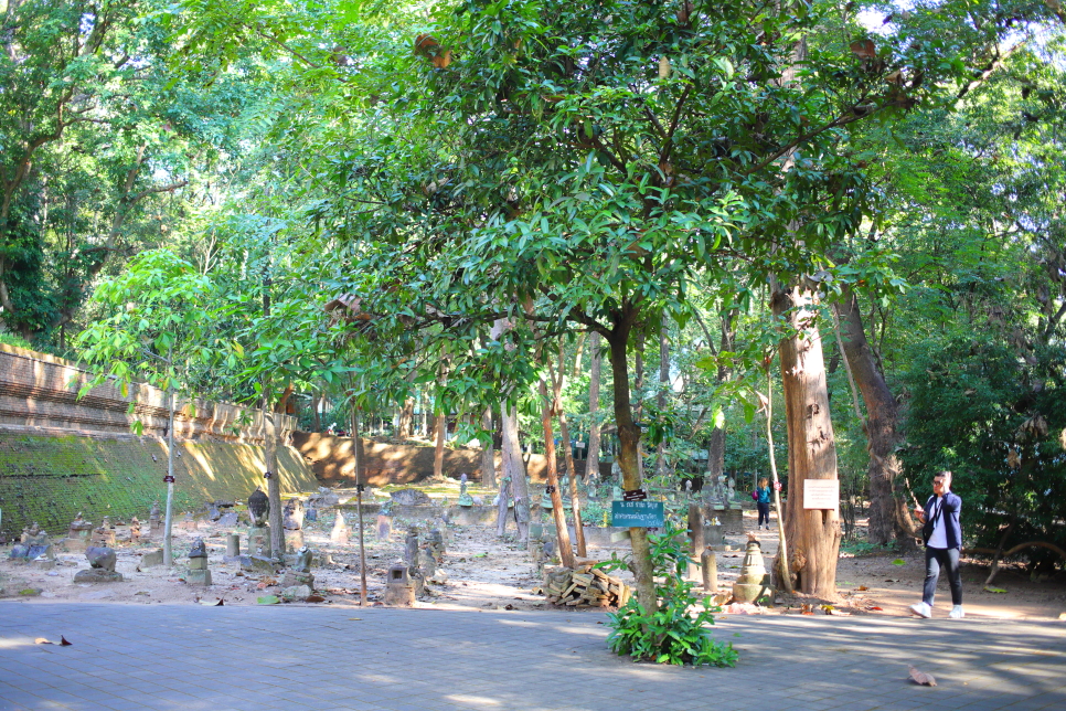 태국 치앙마이 여행 신비로운 왓우몽 동굴사원 투어