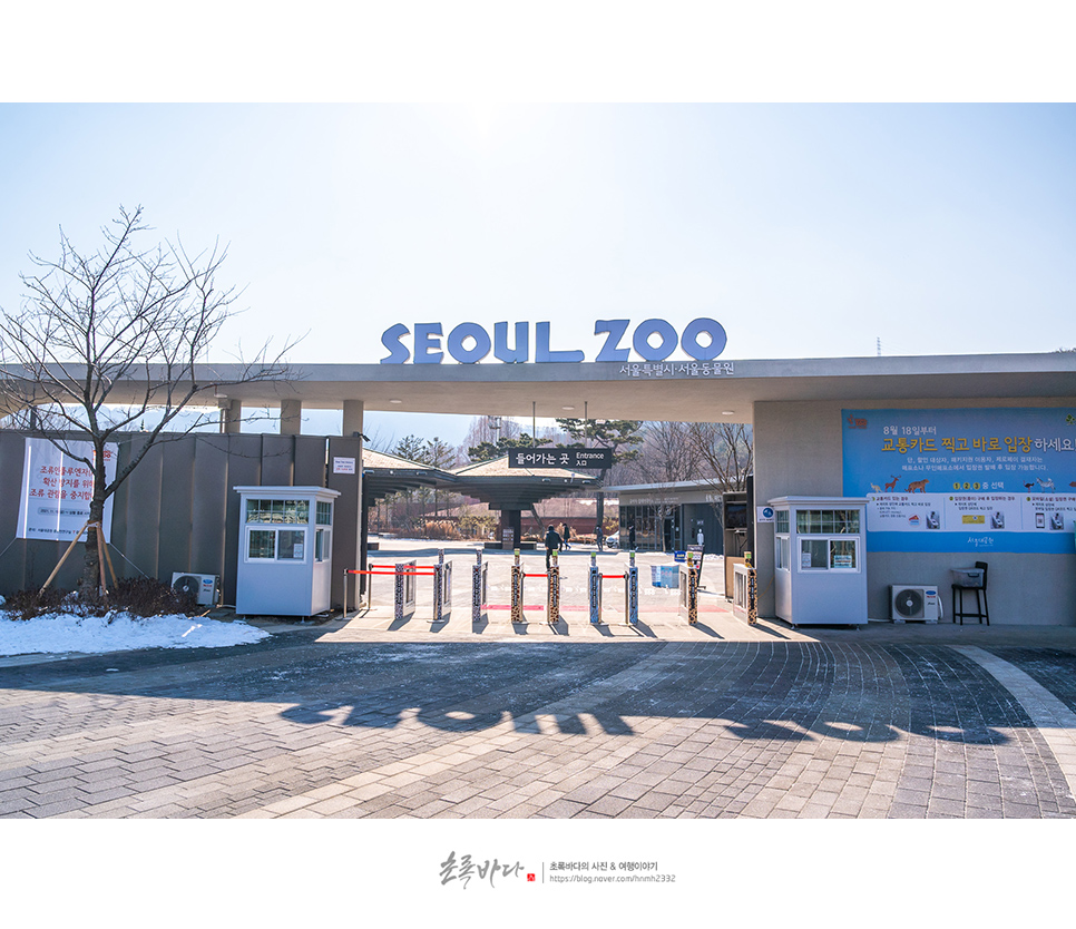 과천 가볼만한곳 과천 서울대공원 어린이대공원