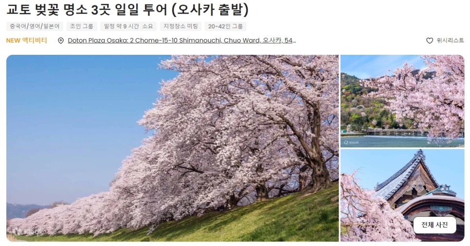 일본 벚꽃 개화시기 교토 여행 벚꽃 명소 코스 추천해요!