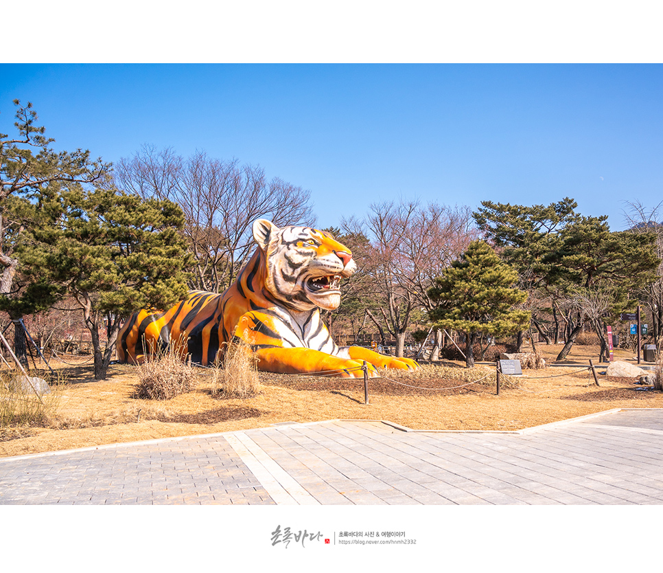 과천 가볼만한곳 과천 서울대공원 어린이대공원