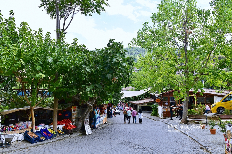 터키 여행 터키 파묵칼레 쉬린네 마을 터키 쇼핑리스트