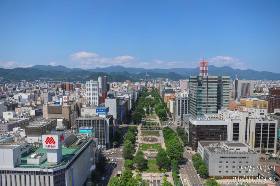 일본 삿포로여행 홋카이도 항공권 가볼만한곳 벚꽃명소