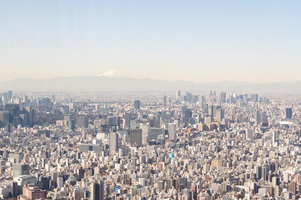 일본 도쿄 여행 가볼만한곳 + 도쿄 항공권 예약