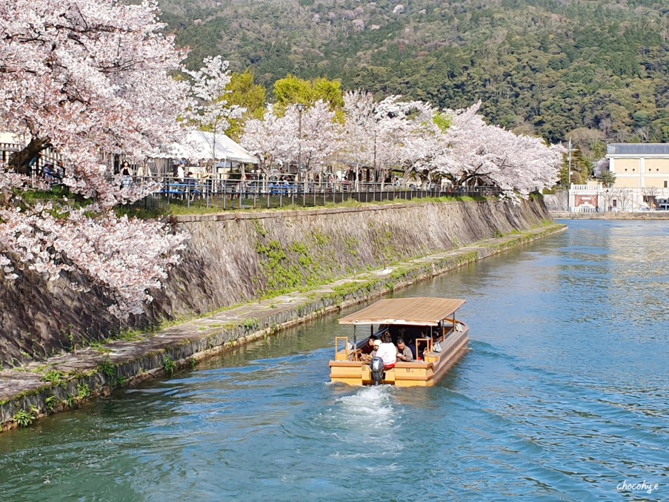 일본 벚꽃 개화시기 교토 여행 벚꽃 명소 코스 추천해요!