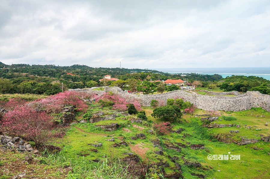 오키나와 자유여행 오키나와 항공권과 일본 벚꽃여행