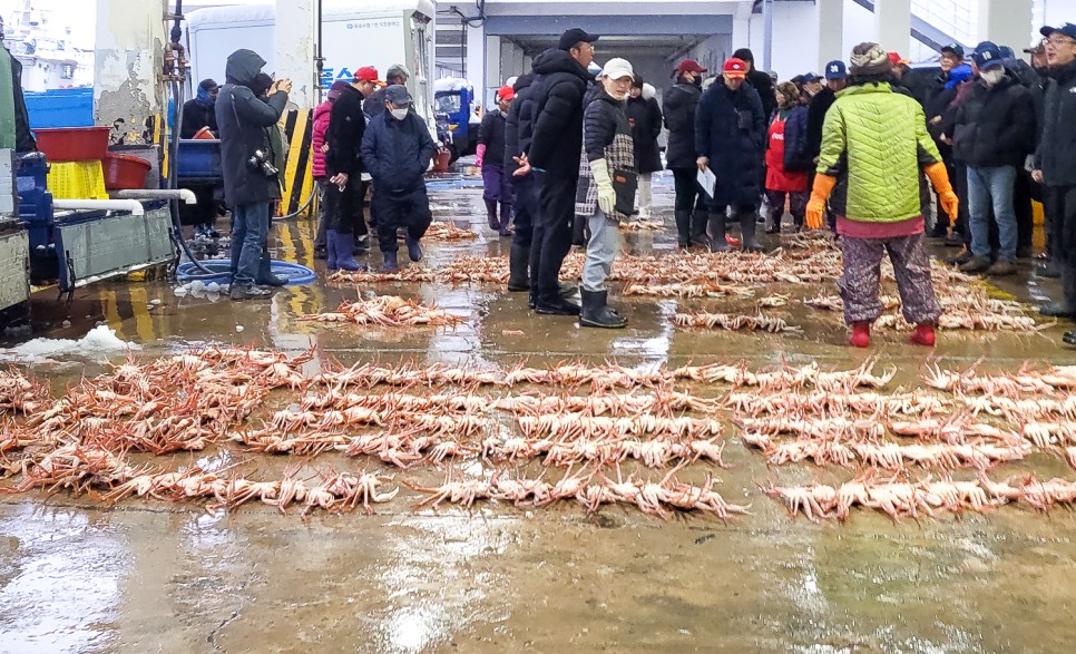 울진온천 한화리조트 백암온천, 울진 여행 하기 좋은 울진 숙소