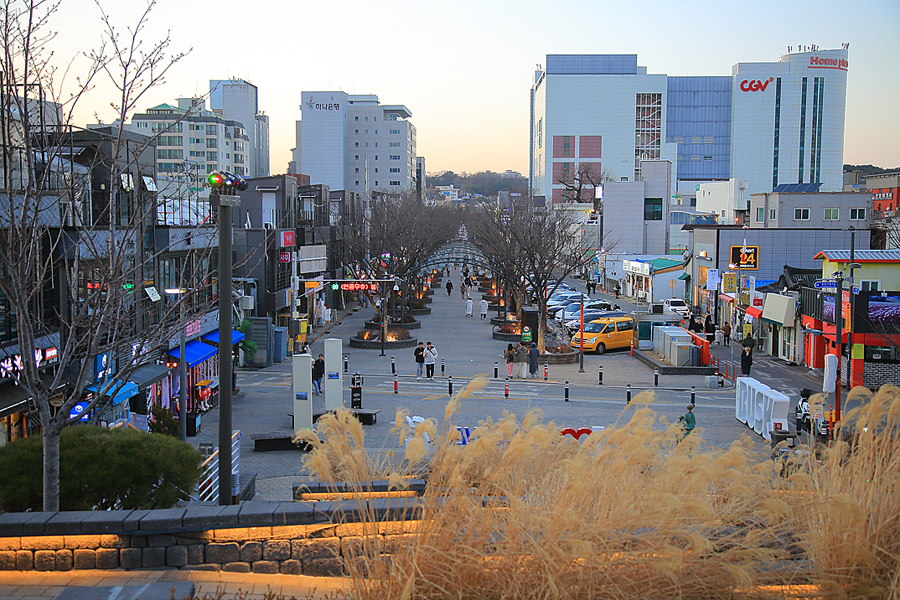 강원도 강릉 중앙시장 먹거리 주차장 시간 놀거리 강릉 갈만한곳