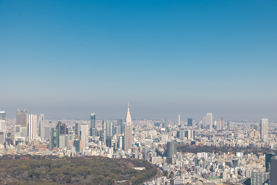 도쿄 시부야 스카이 예약 전망대 티켓 할인 팁 가는법