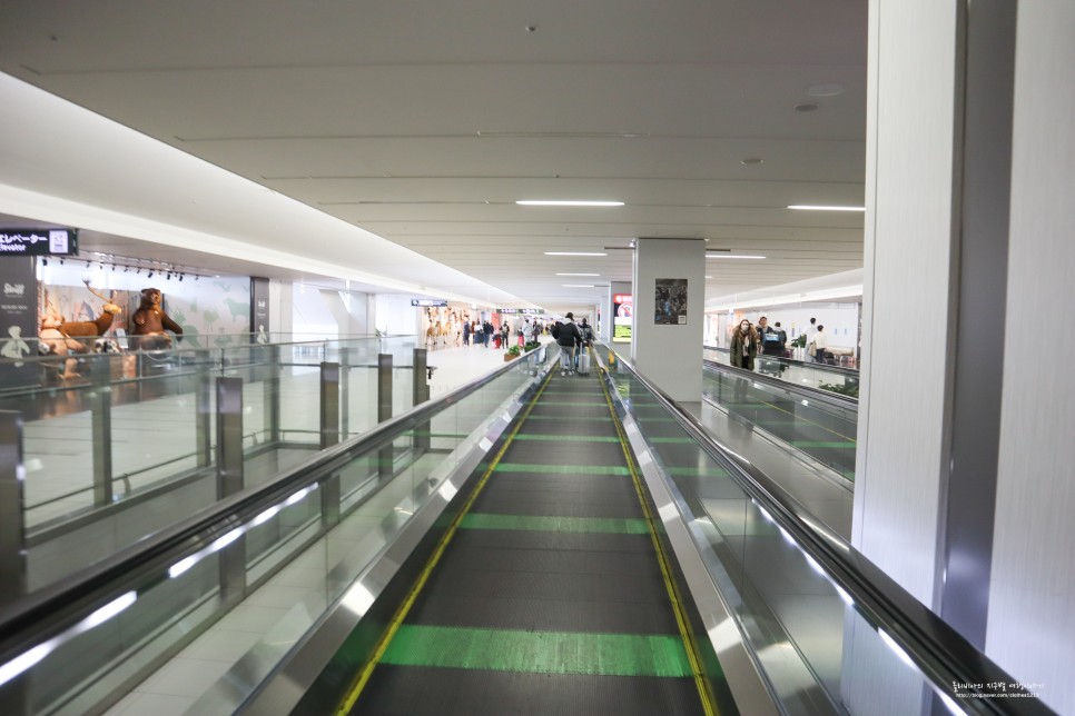 일본 유심 말톡 + 삿포로 공항 입국심사 신치토세공항에서 시내 오타루 가는법