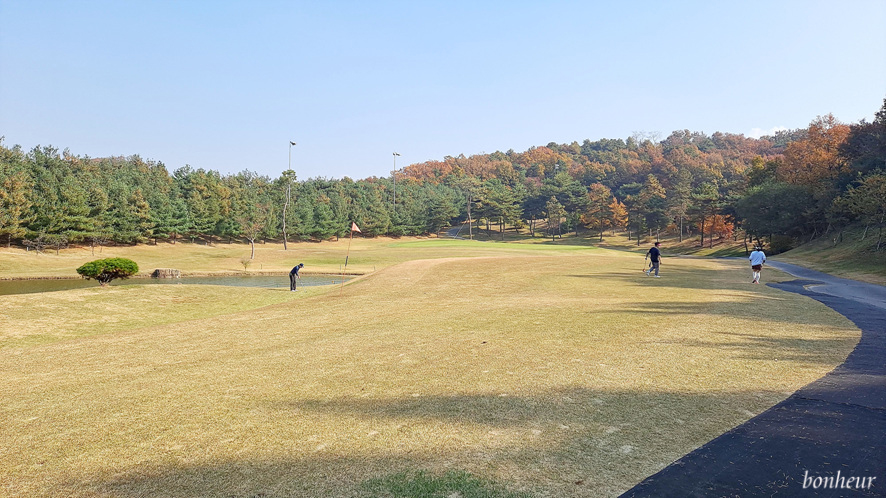 국내골프투어 아리지cc 라운딩 후기와 스타콜 골프장이동(김포 인천공항 콜밴택시)