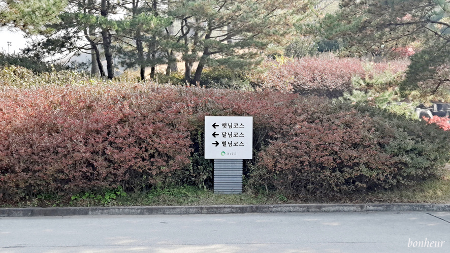 국내골프투어 아리지cc 라운딩 후기와 스타콜 골프장이동(김포 인천공항 콜밴택시)