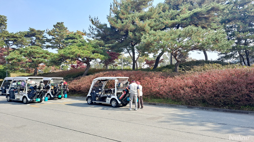 국내골프투어 아리지cc 라운딩 후기와 스타콜 골프장이동(김포 인천공항 콜밴택시)