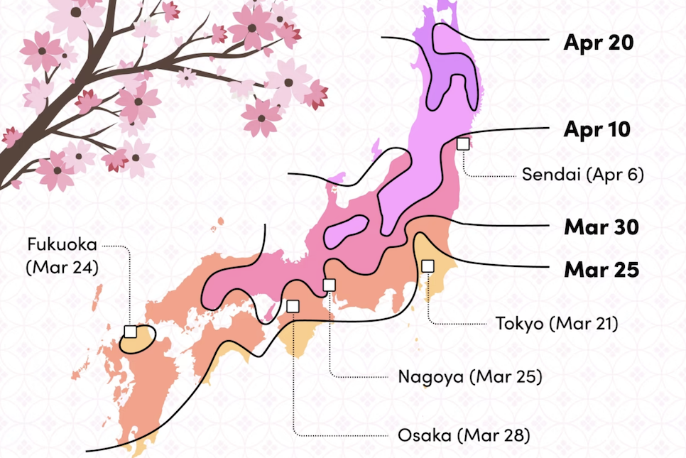 3월 일본 날씨 도쿄 오사카 후쿠오카 벳부 옷차림 초 말 다음주