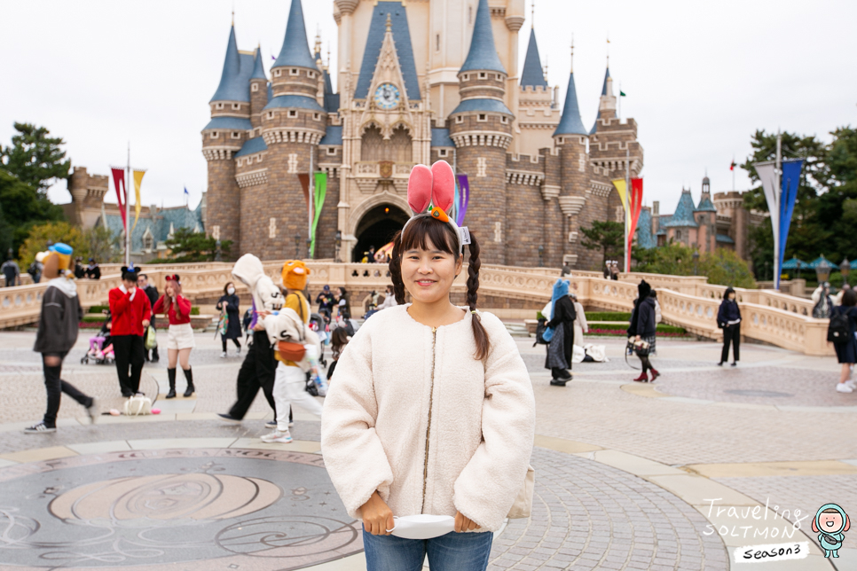 도쿄 디즈니랜드 디즈니씨 차이 입장권 예약 미녀와야수 후기