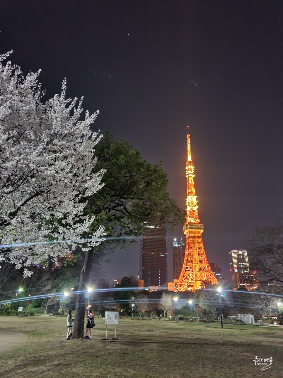 실시간 도쿄자유여행 3월 도쿄날씨 벚꽃상황 가볼만한곳