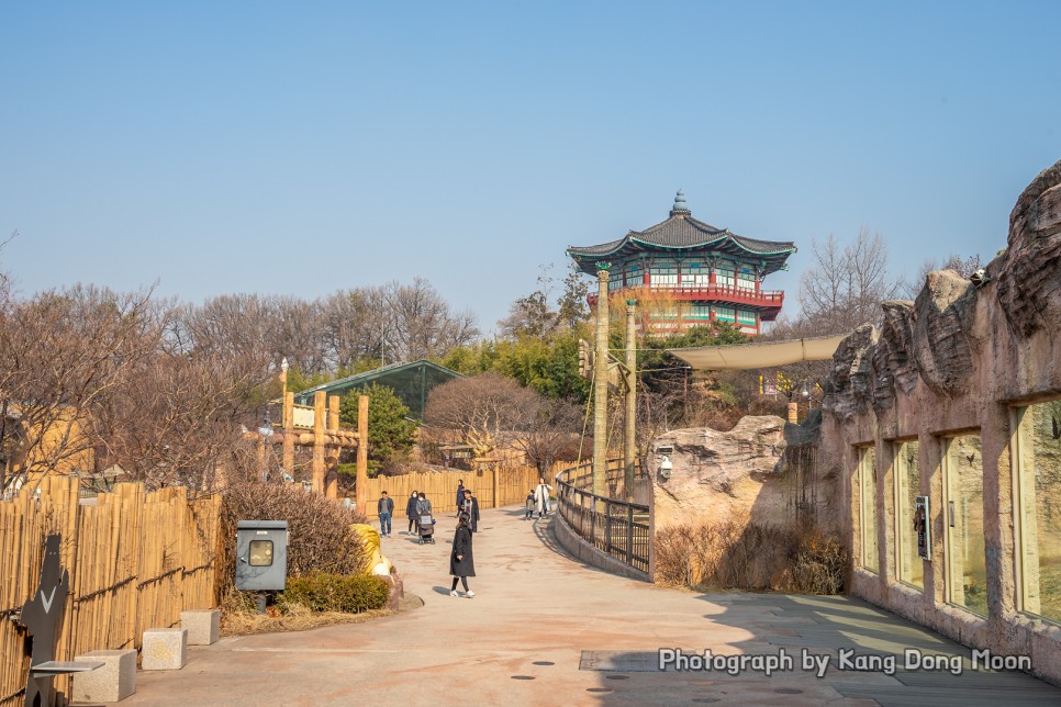 국내 당일치기 여행 서울 가볼만한곳 동물원 서울 여행지 추천 어린이대공원