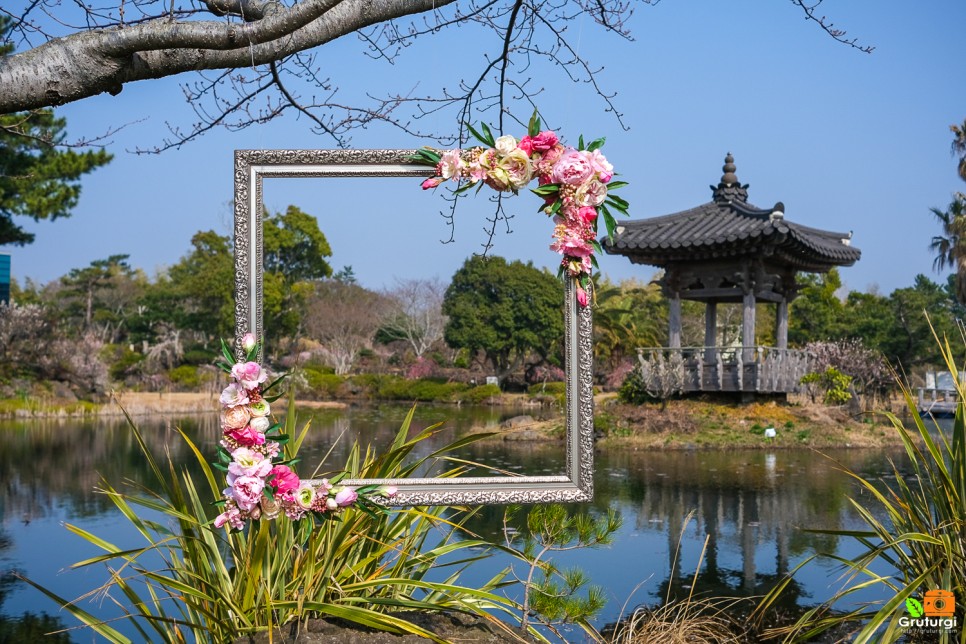 제주 매화 명소 제주도 서귀포 관광지 제주 노리매공원 제주 매화축제