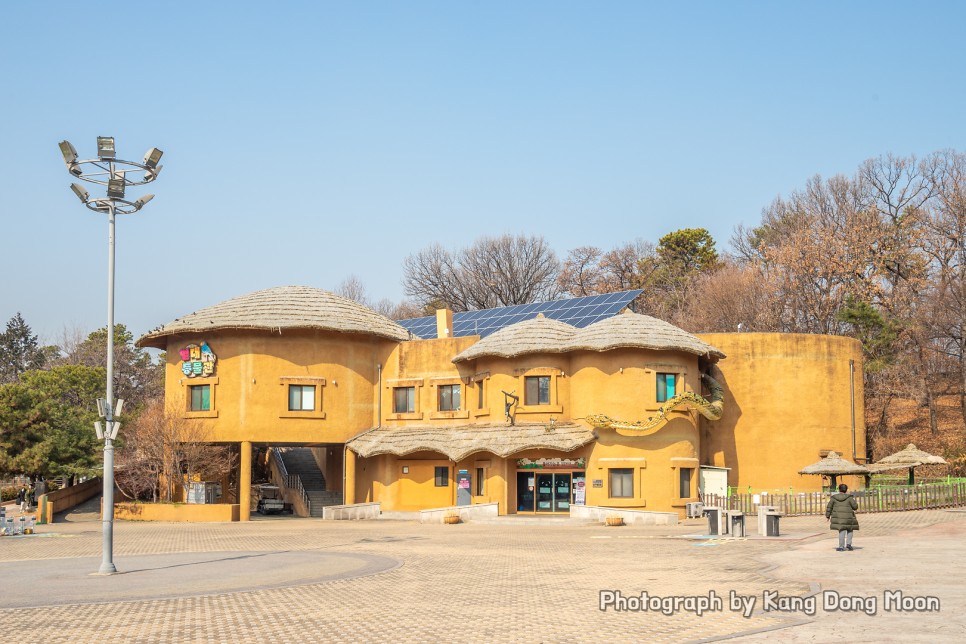 국내 당일치기 여행 서울 가볼만한곳 동물원 서울 여행지 추천 어린이대공원