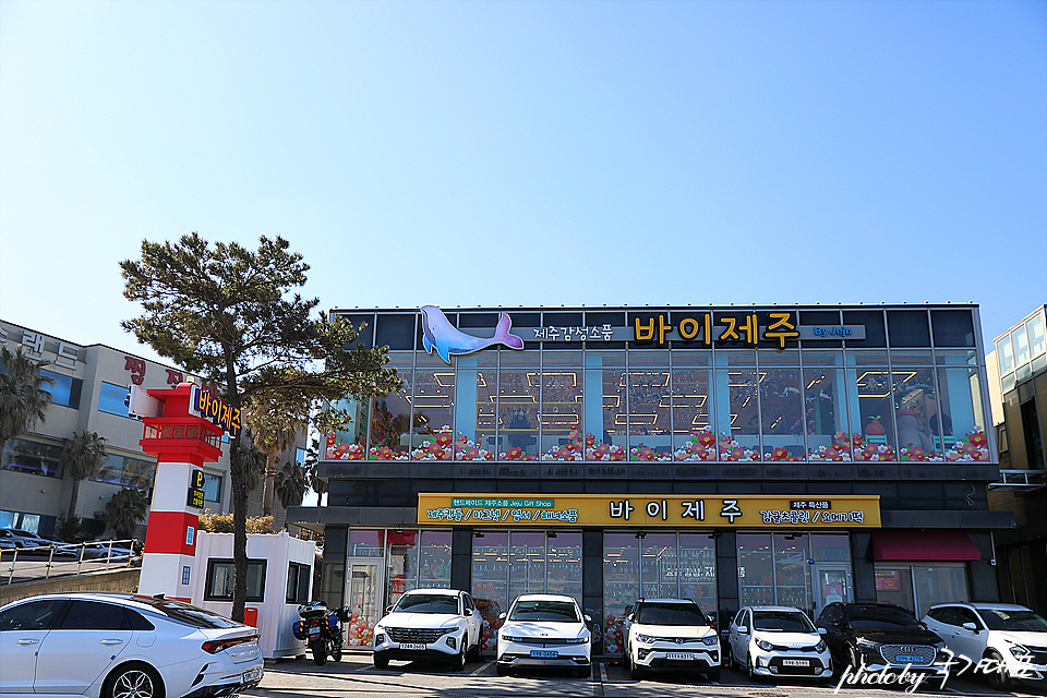 제주시 가볼만한곳 제주공항 근처 볼거리 관광지 제주도 놀거리