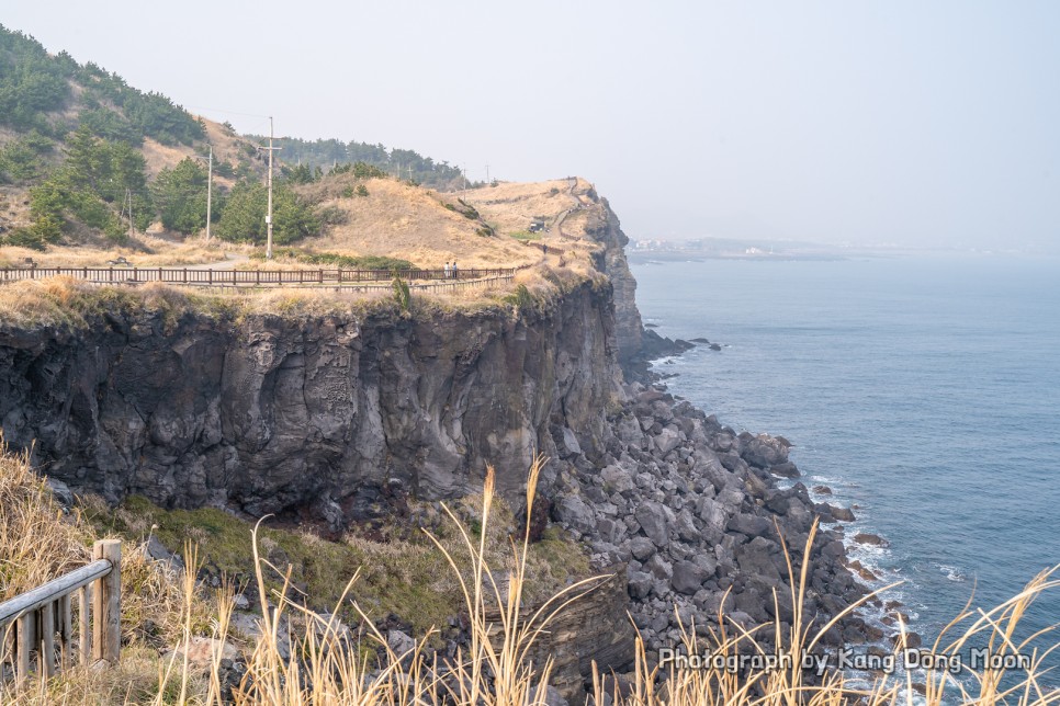 제주도 택시투어 편안하게 카멜리아힐 송악산 등 제주 가족여행