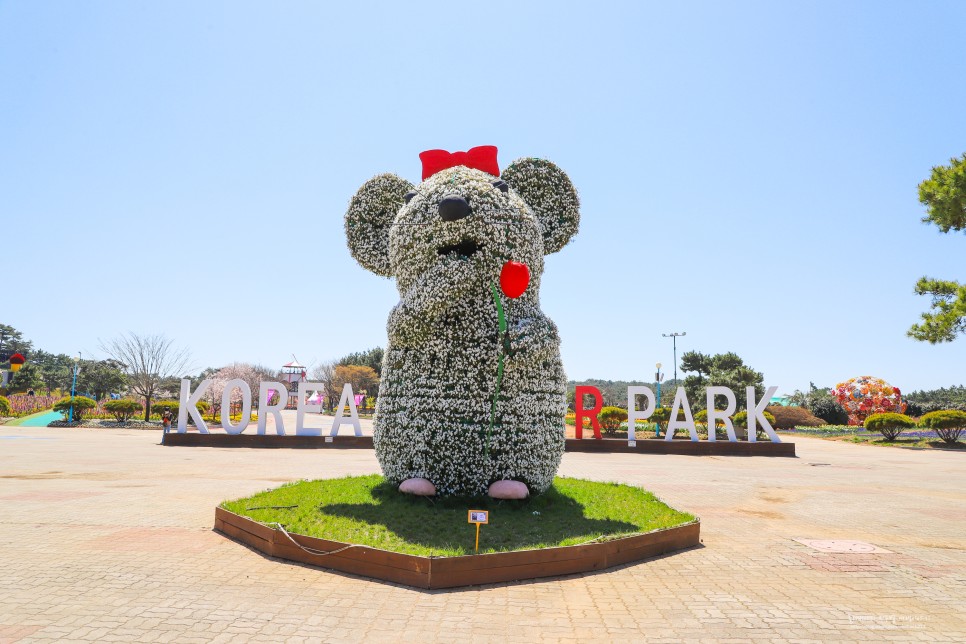 4월 꽃구경 태안 튤립축제 안면도 공원 세계튤립꽃박람회 태안 꽃축제 애견동반 코리아플라워파크