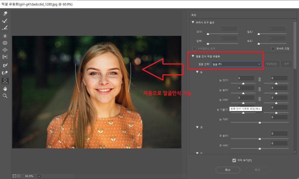 사진 보정 어플 포토샵 픽셀 유동화 활용하여 얼굴 보정 하기 (눈 키우기, 얼굴 줄이기, 피부 보정)
