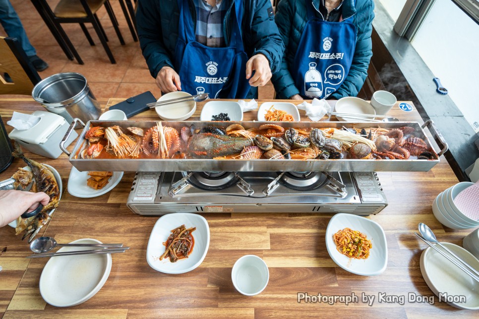 제주도 택시투어 편안하게 카멜리아힐 송악산 등 제주 가족여행