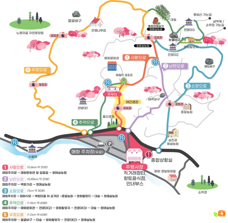 광양 가볼만한곳 광양 매화축제 광양 매화마을 개화시기 광양 여행