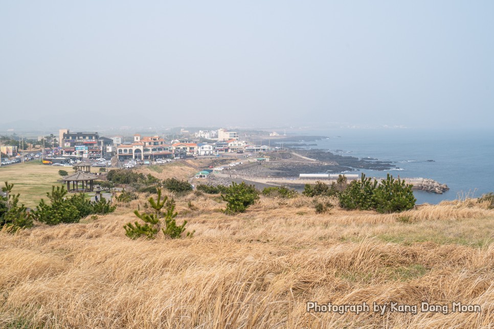 제주도 택시투어 편안하게 카멜리아힐 송악산 등 제주 가족여행