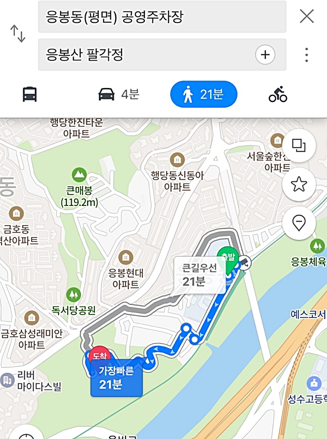 서울 봄꽃구경 가볼만한곳 응봉산 개나리 축제 팔각정 주차장