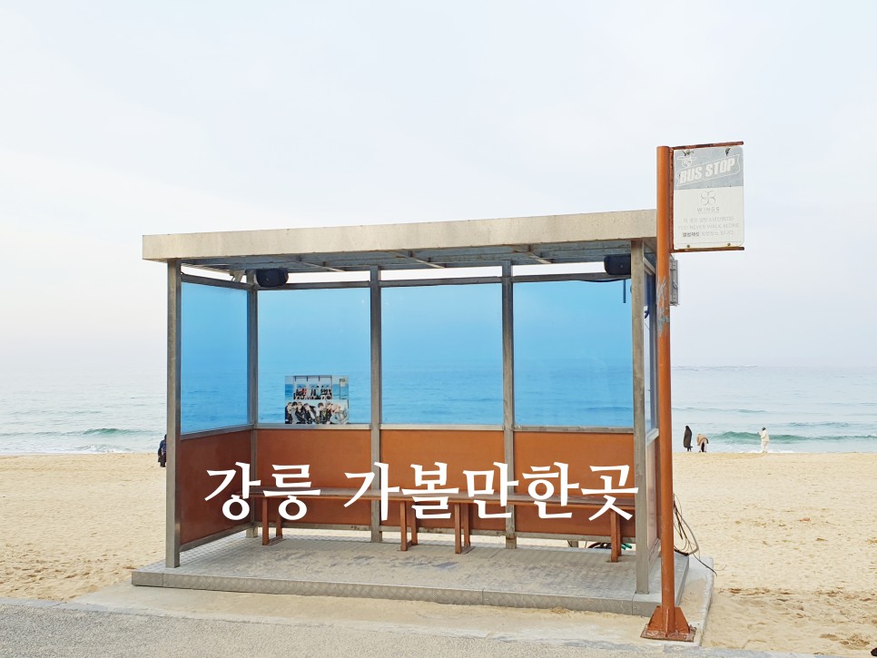 강릉 가볼만한곳 주문진해수욕장 향호해변 BTS버스정류장 소돌해변